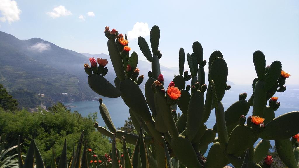 Albergo Suisse Bellevue Monterosso al Mare Exterior foto