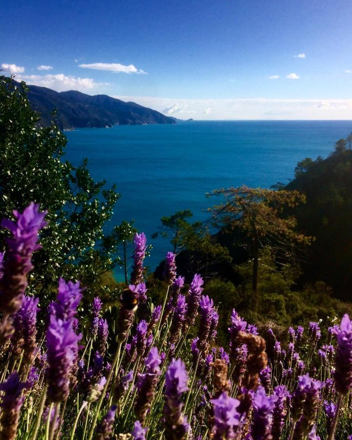 Albergo Suisse Bellevue Monterosso al Mare Exterior foto